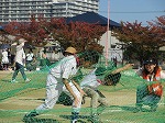 z-141026_taiikutaikai_017.jpg