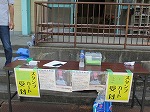 image/z-180617_sofuto22
.jpg